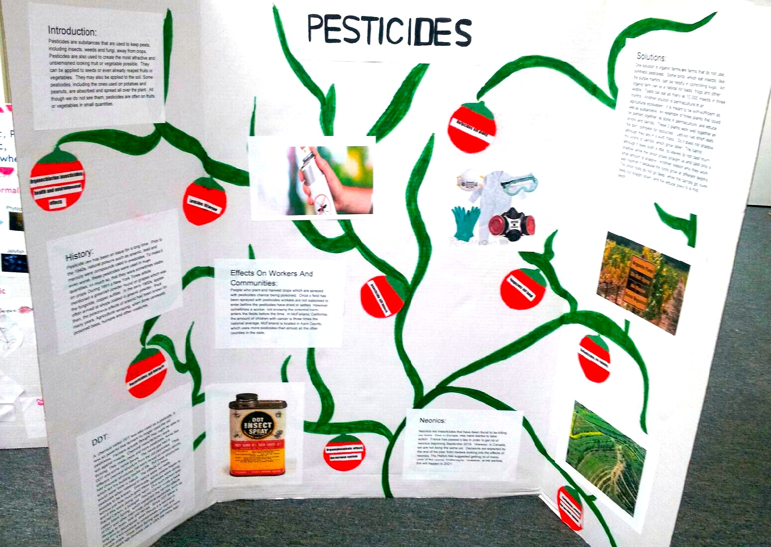 eco-science-fair-richardson-montessori